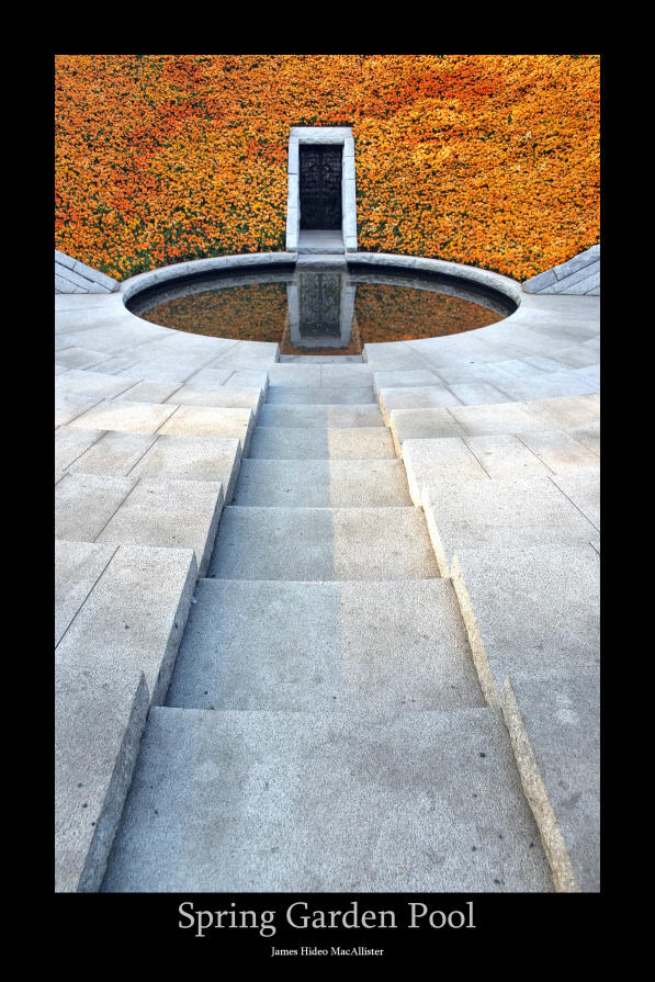 Spring Garden Pool by jamesjr2