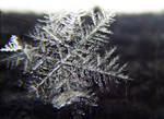 snowflake by Jester-Genso