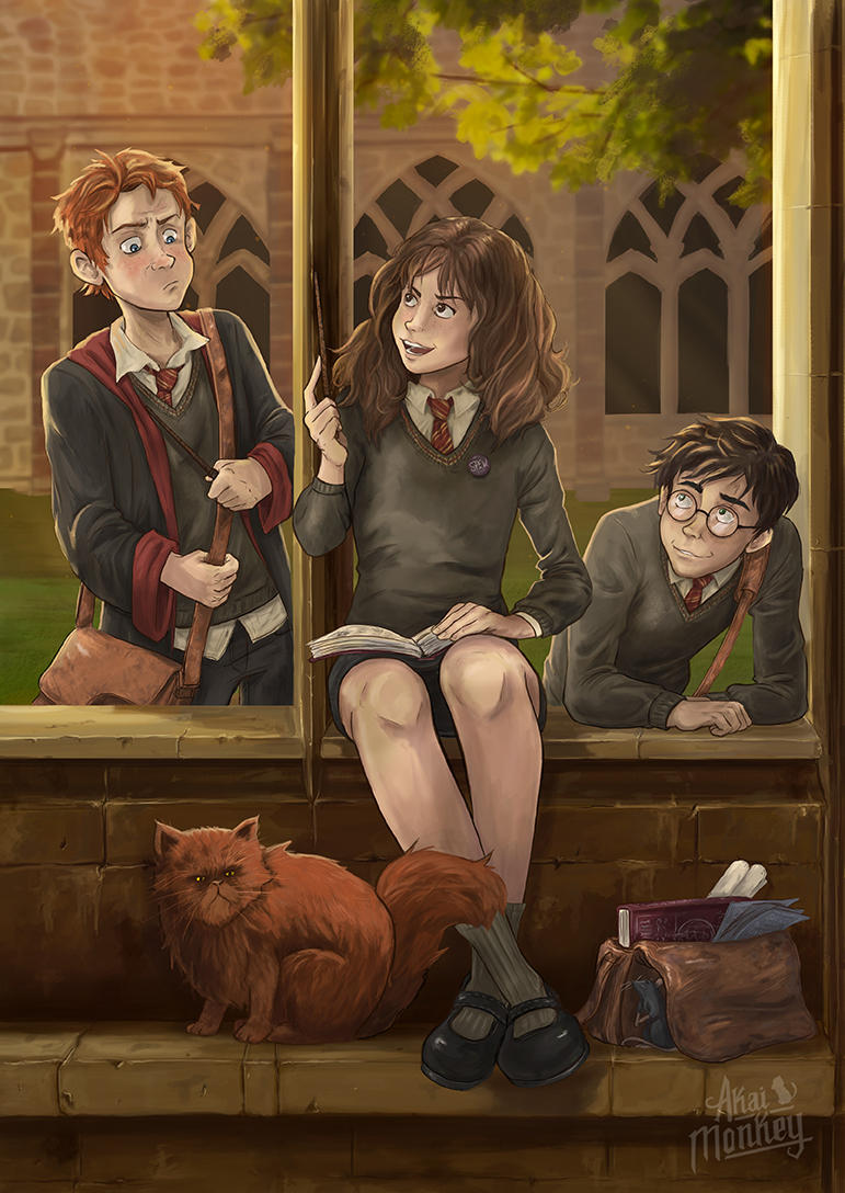 Harry, Hermione and Ron by Akai-Monkey