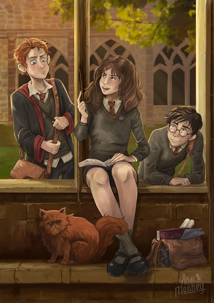 Harry, Hermione and Ron by Akai-Monkey
