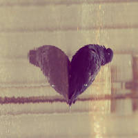 Pigeon love by randomgraycat