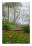 Autumns Pathway by JRose-Photography