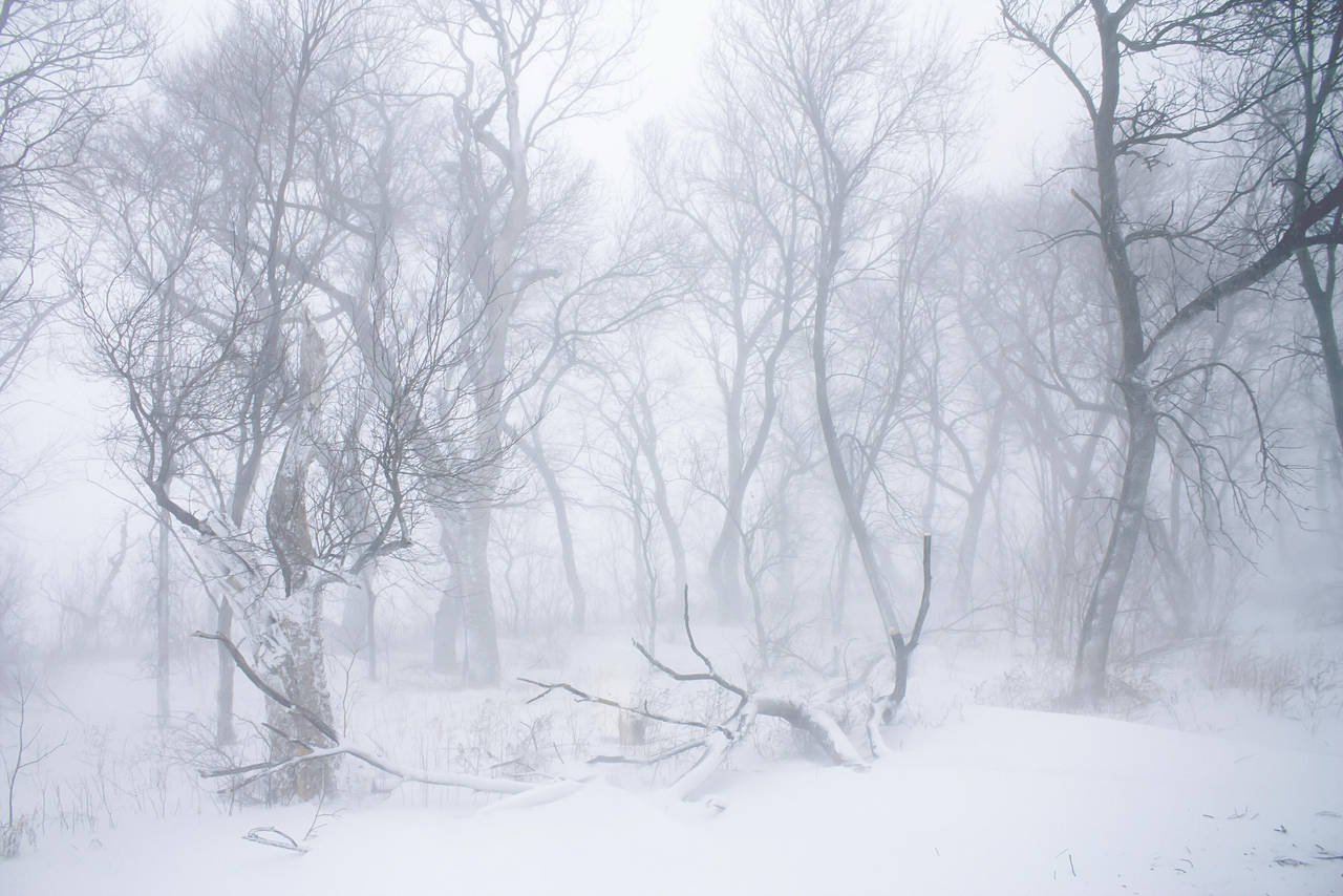 Blizzard 2 by obsession-stock