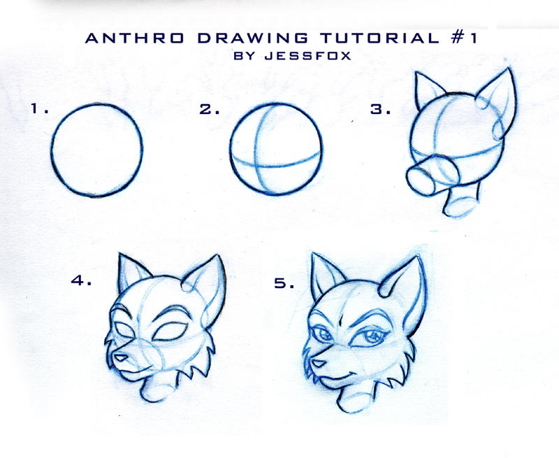 .Anthro Tutorial No.1. by JessFox on DeviantArt