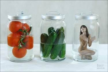 Preservation for the winter. by Bru2sha