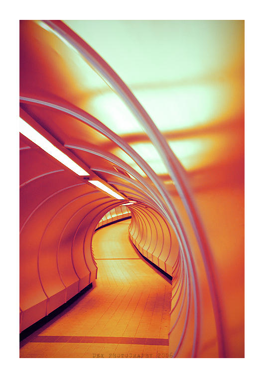 Twisted By Design... by CommanderDex