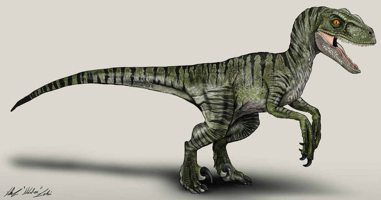 Jurassic World Velociraptor Charlie by NikoRex on DeviantArt
