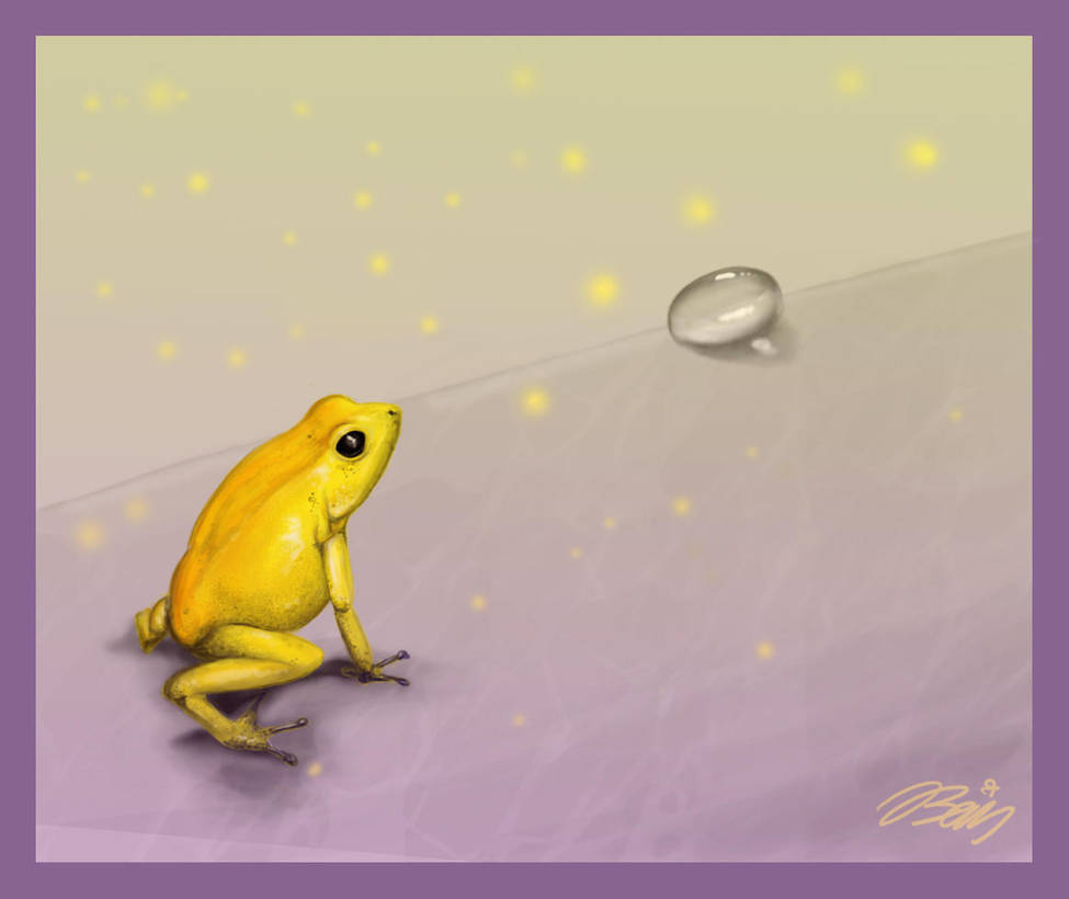 Rain frog by TheJasIllustrator on DeviantArt
