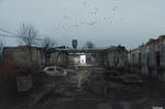 Last Survivor by noro8
