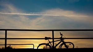 Where to go now? by vedrannovak