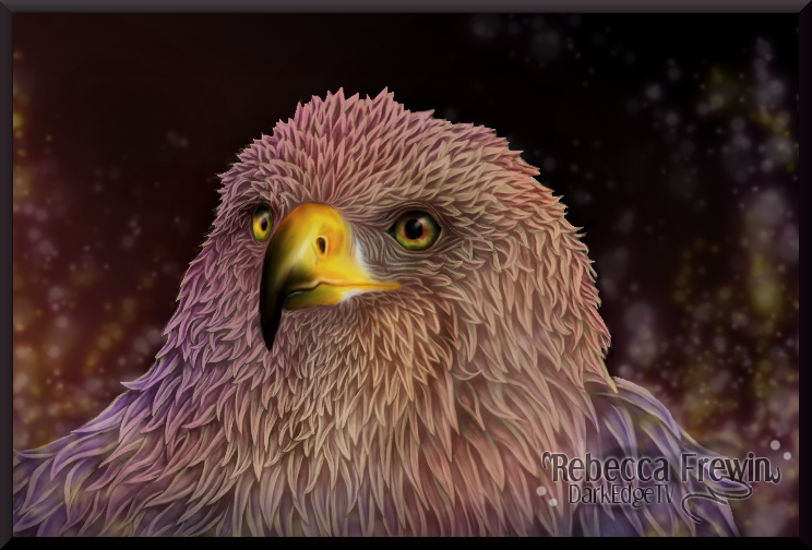 Harris Hawk by Rebecca1208