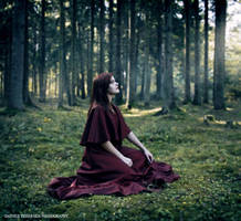 Girl in the forest 2 by orlibraorli