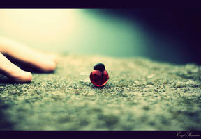 Good luck my little love... by thezgi