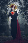 All I have to give ... by S-T-A-R-gazer
