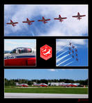 Tribute to snowbirds by gogluman