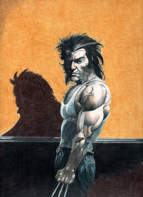 Wolverine 181 after Ribic by Sniktchick
