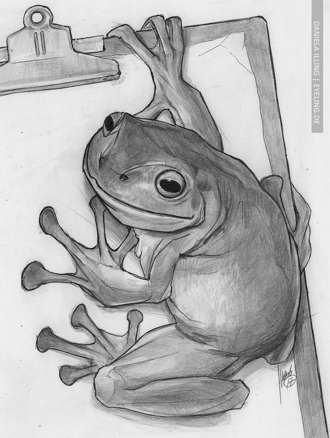 Froggie by greyfin