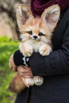 SOLD! Auction Handmade Poseable toy Fennec Fox by MalinaToys
