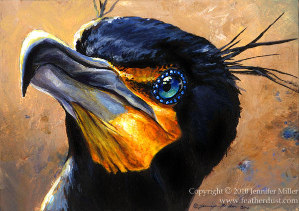 Double Crested Cormorant by Nambroth