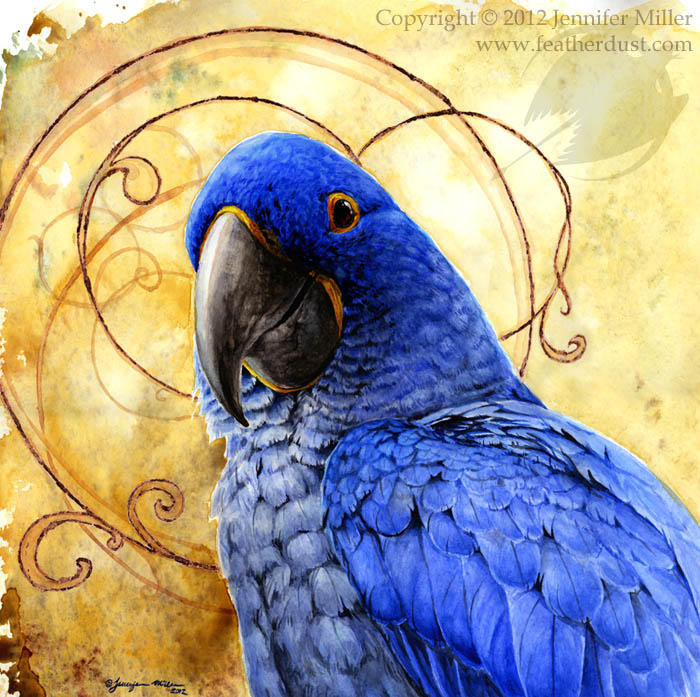 A Special Kind of Blue - Hyacinth Macaw by Nambroth on DeviantArt