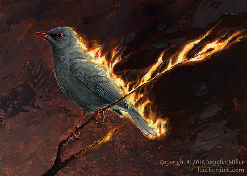 Phoenix - Grand Cayman Thrush by Nambroth