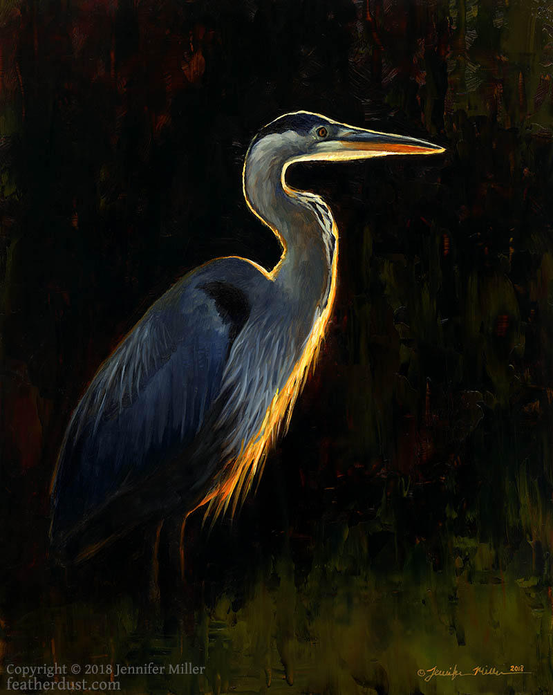 Great Blue: Evening Glow by Nambroth