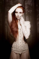 Sheer Overbust corset by v-couture-boutique