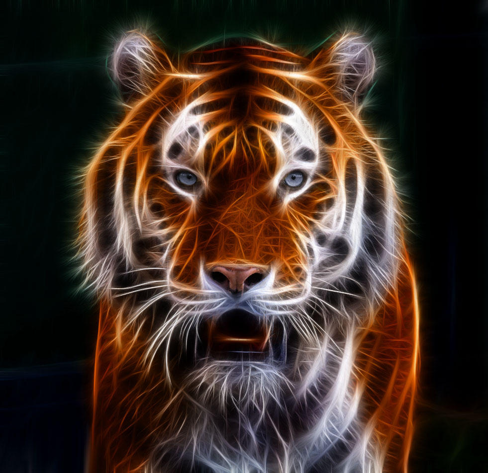 тигры 2017. враг тигра в природе. тигры 2017. тихоокеанские тигры. большой и красивый тигр из фильмов.