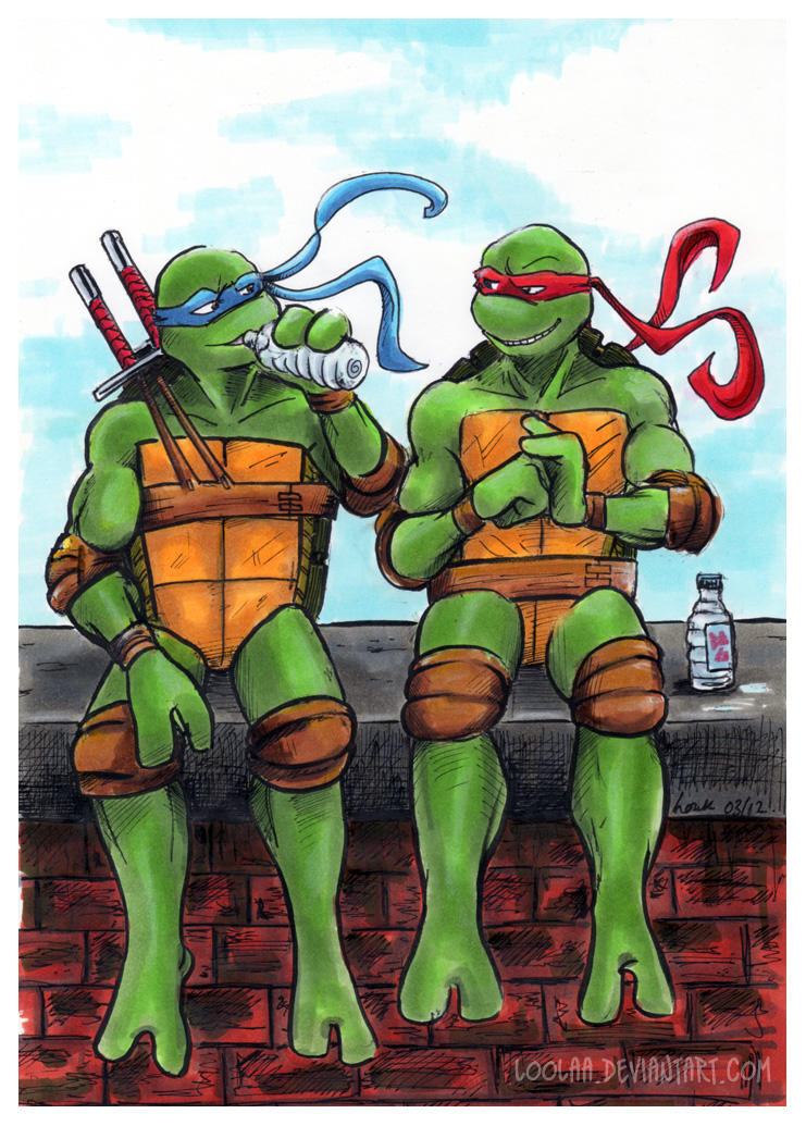 TMNT: Leo and Raph by loolaa