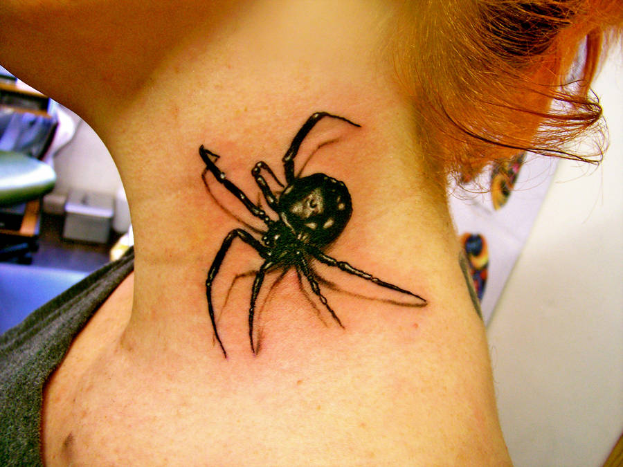 3d spider by nathan241087