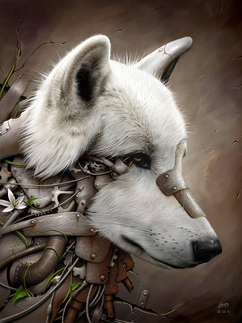 Wild 1 - The Wolf by BenF