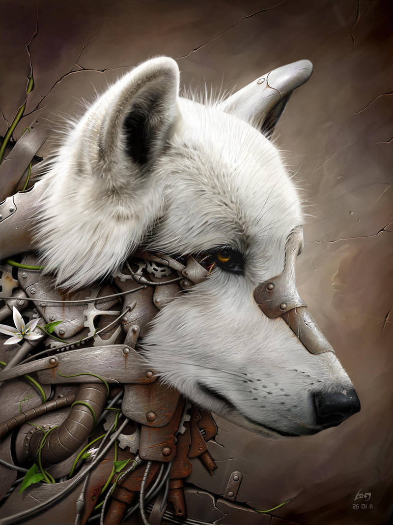 Wild 1 - The Wolf by BenF