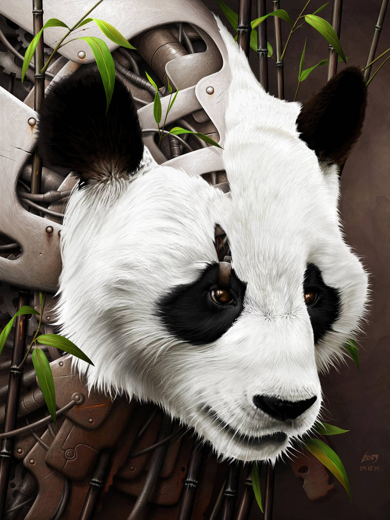 Wild 2 - The Panda by BenF