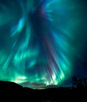 Aurora Dragon. by Trichardsen