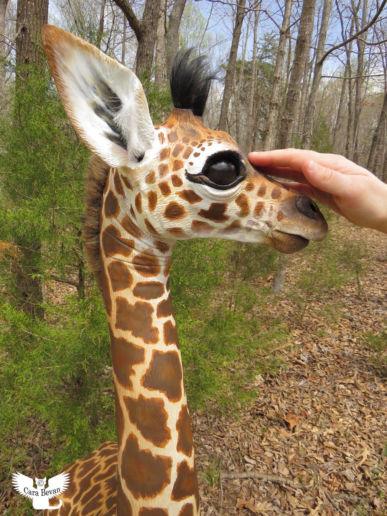 Amahle the Masai Giraffe - pet pets by ART-fromthe-HEART on DeviantArt