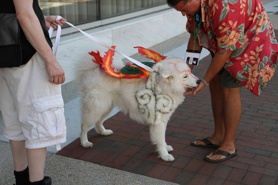 Amaterasu - Greeting by volko-dav