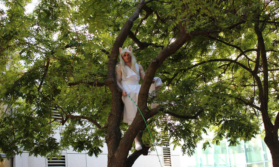 Yoko Kurama - In Tree by volko-dav