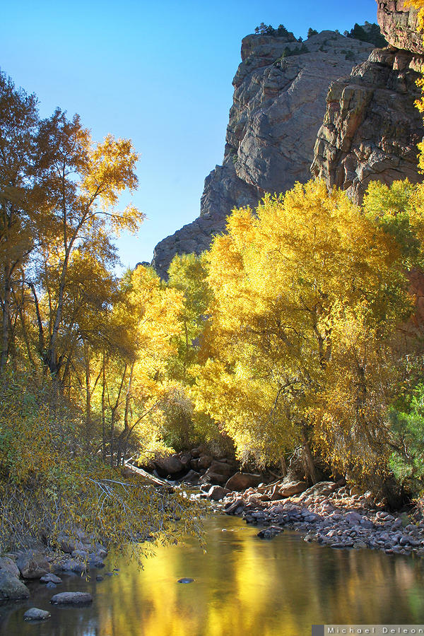 Canyon Gold by yenom