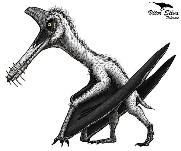 Guidraco by Vitor-Silva