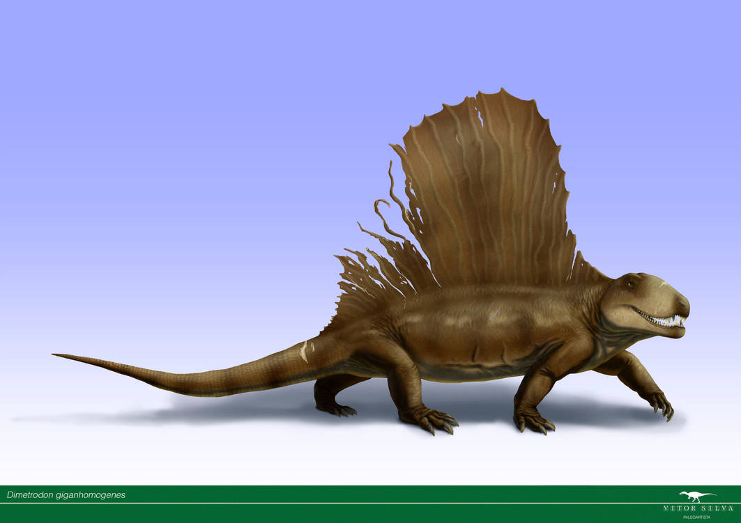 Dimetrodon by Vitor-Silva