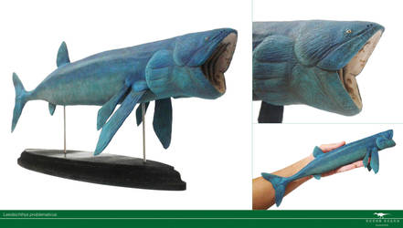 #leedsichthys | Explore leedsichthys on DeviantArt