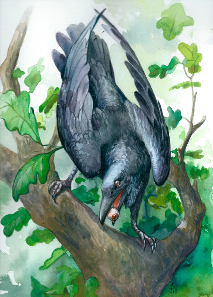 Corvus Corax by engelszorn