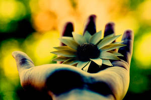 I give you my all by Deeevilish