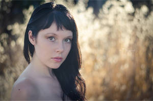 : T w i l  i g h t : by Call-Me-Lucifer