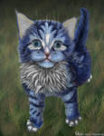Old Little Aurora by Toyger