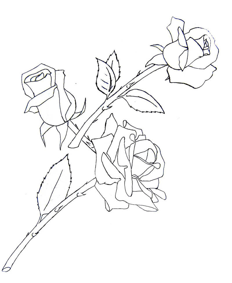Rose Tattoo draft by LadySiubhan on DeviantArt