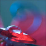Droplet by webworm