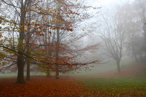 Autumn Haze by webworm