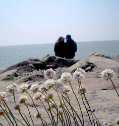 a m o r by romanceletters