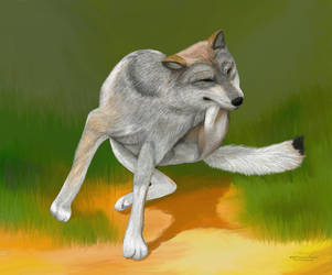 Wolf Sequence 003 by furocious-studios